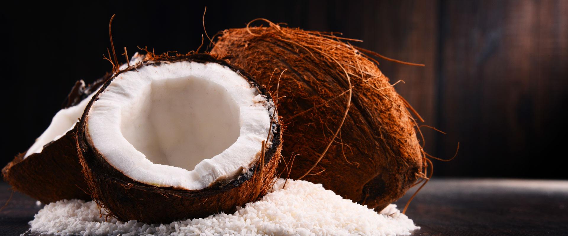 Coconut Seller India
